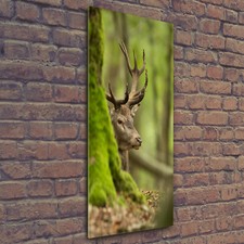 Wand-Bild Kunstdruck aus
