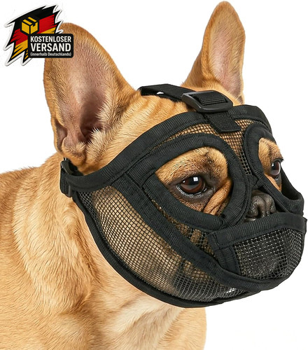 Französische bulldogge - französische,