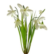 Kunstblume schneeglöckchen - schneeglÖckchen, ca