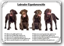 Warnschild - 20x30cm -