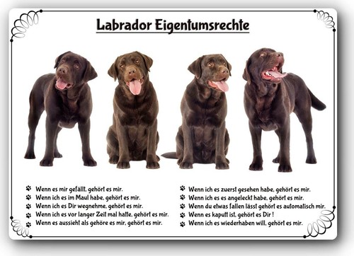 Warnschild 20x30cm - -,