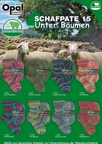 Opal schafpate unter - 15,