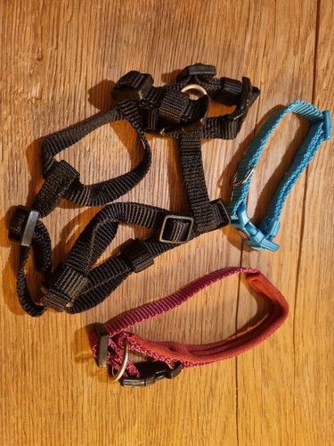 Hunde geschirr halsband welpe - hunde,