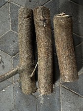 3x Drechselholz Traubenkirsche