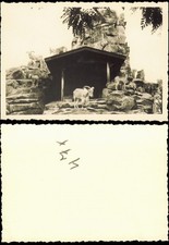 Tiergarten-Berlin Zoologischer Garten: Bergziegen 1954 Privatfoto Foto