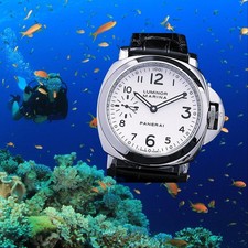 Reduced! Panerai Luminor