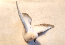 Alter Porzellan Vogel  Taube