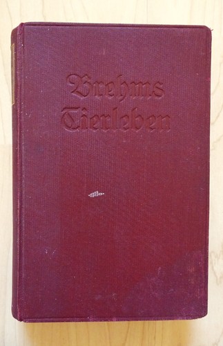 Buch von 1924 brehms tierleben - von,