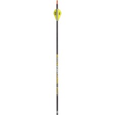 Victory Arrows VAP Elite 350