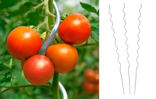 10er set tomatenspiralstab - 10er,