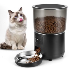 4L WIFI Automatischer