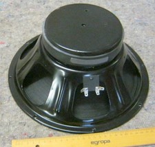 Fender 12 Zoll Speaker 8 Ohm