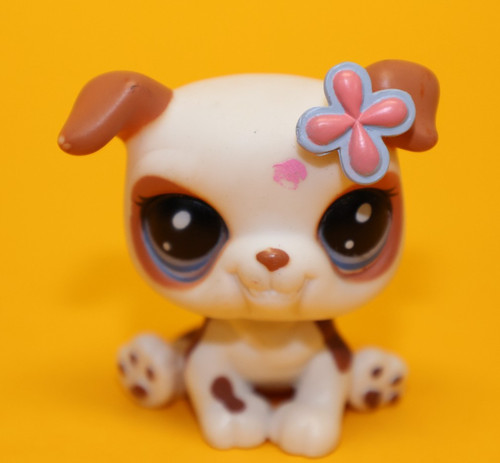 Hasbro littlest pet shop - littlest,