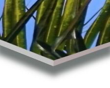 Wandbild Boote, Meer auf