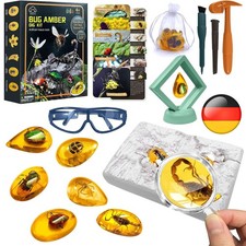 Bernstein Ausgrabungsset für Kinder ab 6 7 8 9 10-12 Jahren Künstliche Insekt...