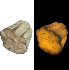 Kaminholz mit LED Beleuchtung, Timer - Deko für Kaminumrandung, Echtwachskerzen