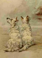 Foto graf maud 1864 1943 - a4,