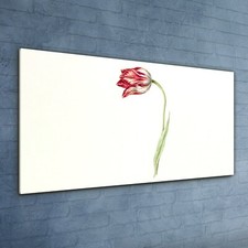 Druck auf Glas Wandbild