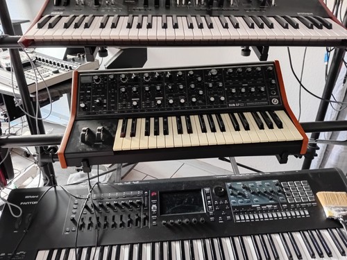 Moog elektrisches - moog,