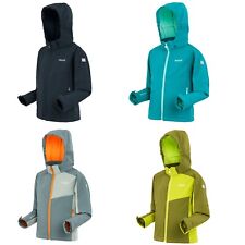 Regatta Acidity VIII