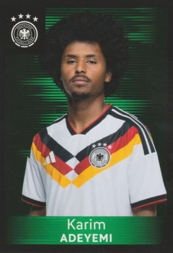 Panini family ferrero dfb - family,