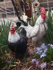 Hahn Deko Figur Huhn Henne lebensgroß  wetterfest natürlich Gartenfigur Huhn NEU