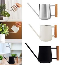 Edelstahl-Gießkanne