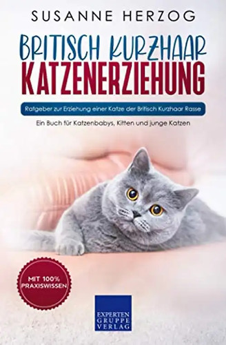 Britisch kurzhaar - britisch,