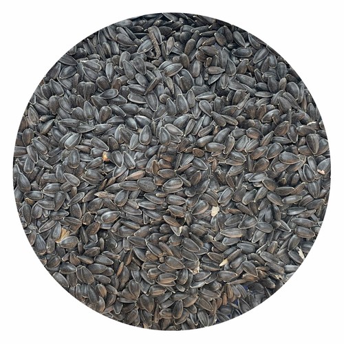 Sonnenblumenkerne 2x - sonnenblumenkerne,