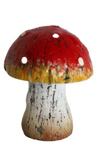 Pilz TORIN 8,5 cm •