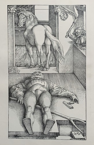 Hexe witch la sorcière - -,