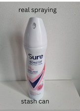 Vorratsdose Spray Deo Secret