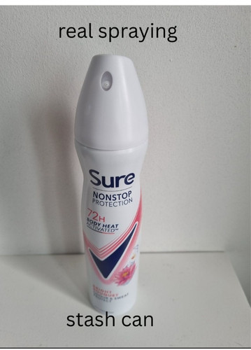 Vorratsdose spray deo - spray, secret