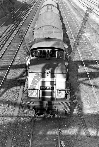 Fotoabzug 10x15 v60 - pe-fotoabzug, dr
