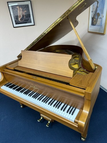 Schimmel 174 flügel - 174, t
