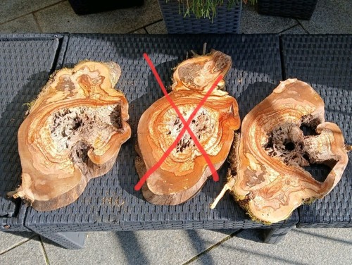 Kernfaule gestockte hohle - gestockte,