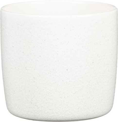 Scheurich übertopf solid - scheurich,