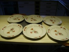 Villeroy & Boch Tulipe - 6 Speiseteller - Durchm. ca. 27 cm