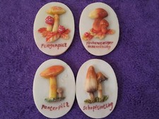 NEU!Deko Bilder Pilze Klein