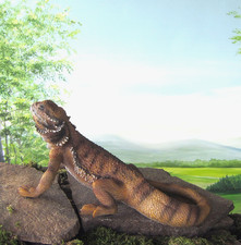 Bartagame Figur Leguan Reptil