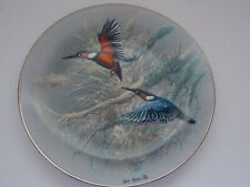 Rosenthal  Sammelteller  Eisvogel Juwelen der Vogelwelt  D 19,5