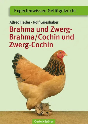 Brahma und zwerg - und, /