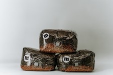 3×3L  All-in-One Pilzsubstrat