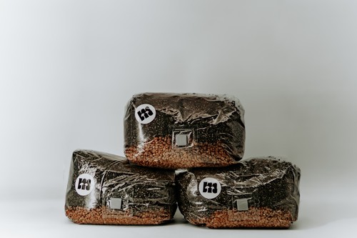 All one pilzsubstrat 3x3l - all-in-one,