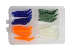 Paladin Bienenmaden L Set II | 20 Stück | gemischt