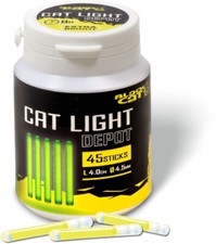 Black cat light - cat,