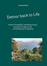 Detour back to Life (Buch)
