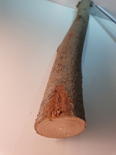 Elsbeere holz stamm - holz, mehlbeere