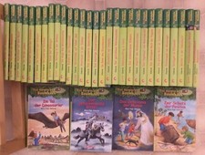 Das magische Baumhaus 33