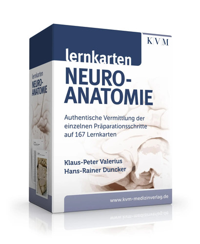 Lernkarten neuroanatomie - neuroanatomie, |